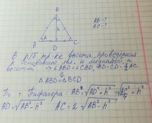 Нужна равнобедренном треугольнике авс с основанием ас проведена высота вd. найдите боковые стороны и