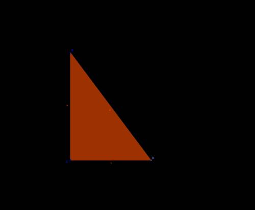 Один из катетов прямоугольного треугольника равен 8 см , а синус противолежащего угла 0,8. найти пер