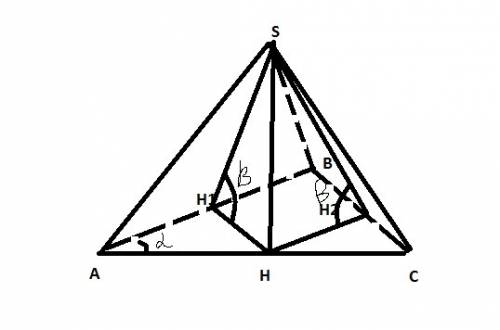 Основанием пирамиды является прямоугольный треугольник с гипотенузой а и острым углом альфа . бокова