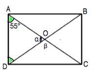 Диагональ ас прямоугольника abcd равна 4 см и составляет со стороной ad угол 55°. найдите площадь пр