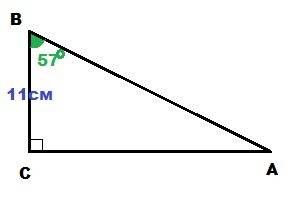 Втреугольнике авс угол с=90 градусам,угол в=57 градусов,вс=11 см.найдите длину ас 1) 11 : tg 57 град