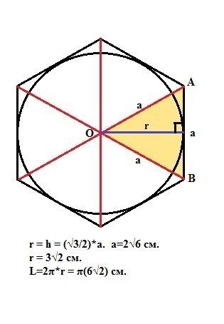100 ! ! если сторона правильного шестикутника равна 2корень6 см, то чему равна длина круга, вписаног