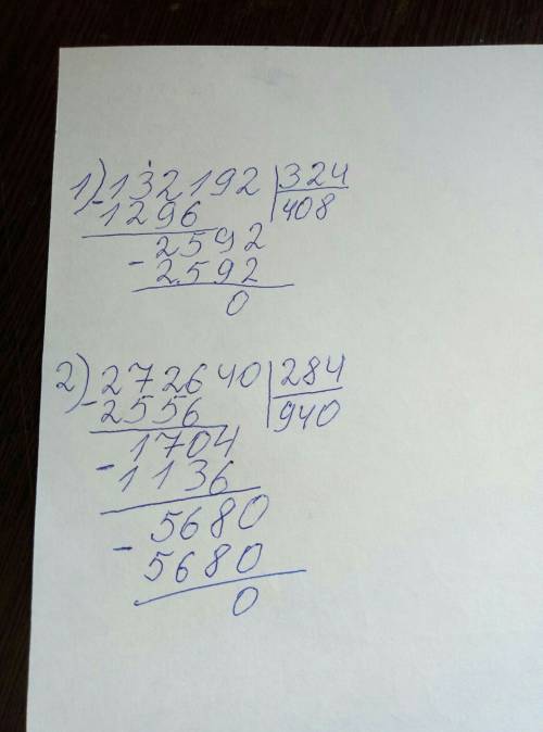 Объясни, как выполнено деление: 132192: 324, 272640: 284?