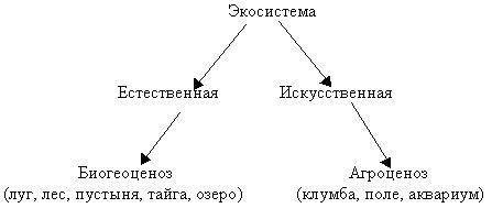 Сходства и отличия естественной и искусственной экосисмемы