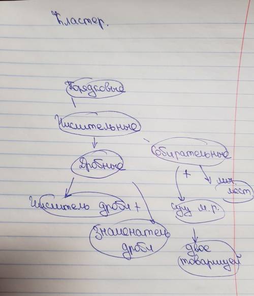 Нужно составить кластер на тему собирательные и дробные числительные