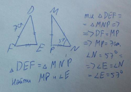 Треугольник def и mnp равны. известно, что df=7 см, угол n равен 57°. найдите mp и угол e