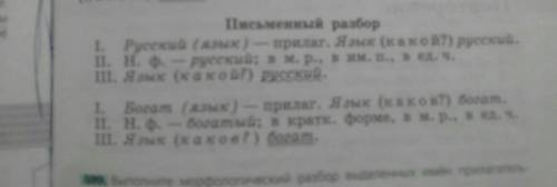 Морф разбор 1прил 1сущ 1 местоимения 1 гл