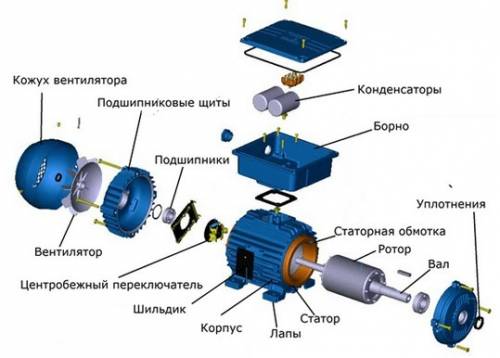 Объясните принцип работы электродвигателя