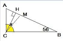 Дан прямоугольник abc с гипотенузой ab, у которого угол b равен 56 градусов. найдите угол между высо