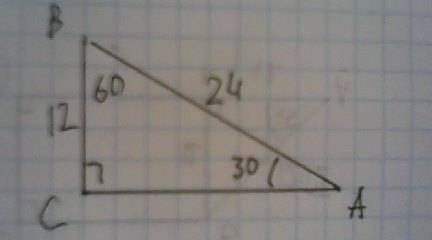 Дан прямоугольный треугольник сав, с=90,сторона ав=24,сторона св=12,нежно найти углы а и в, кому не
