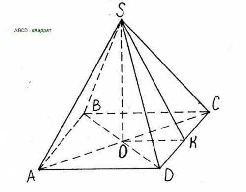 Боковое ребро правильной треугольной пирамиды равно 4 см и образует с плоскостью основания угол 30 г