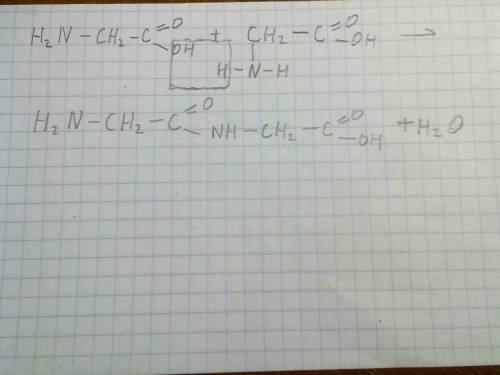 Напишите взаимодействие аминоуксусной кислоты с аминоуксусной кислотой.