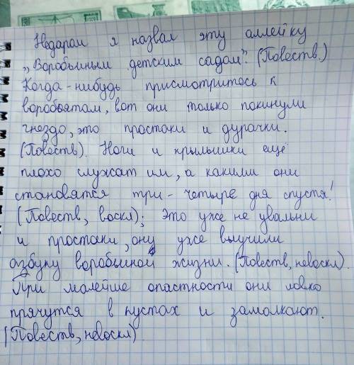 Недаром я назвал эту аллейку воробьиным детским садом когда не будь просмотритись к воробьятам вот о