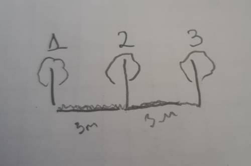 Вдоль парковой дорожки через каждые 3 м посажены деревья. сколько метров от первого до третьего дере