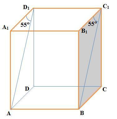 Впрямоугольном параллелепипеде abcda1b1c1d1 угол bc1b1=55, найдите угол между прямыми c1b и aa1