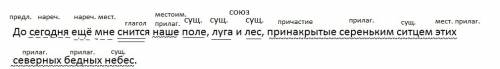 До сегодня ещё мне снится наше поле, луга и лес, принакрытые сереньким ситцем этих северных бедный н