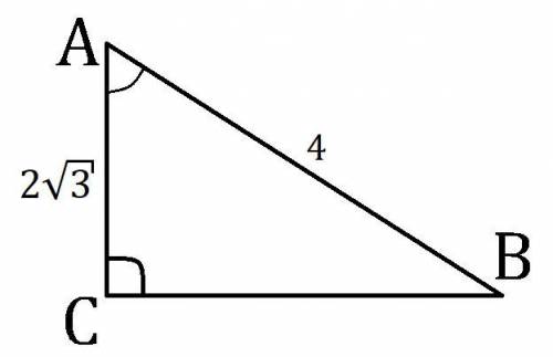 Втреугольнике abc угол c равен 90°, ab = 4 , ac = 2 корень из 3 . найдите sin a.