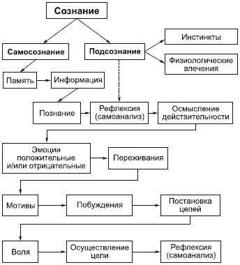 Что такое сознание и какова его структура?