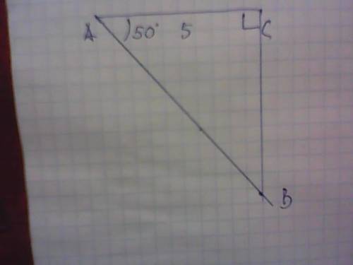Построить прямоугольный треугольник авс по катету ас=5см и углу а=50 градусов