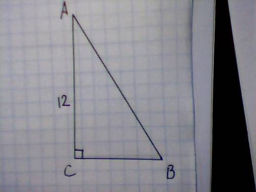 Утрикутника cos в=0,6 кут с=90 градусів ас=12 см.знайдіть периметр трикутника