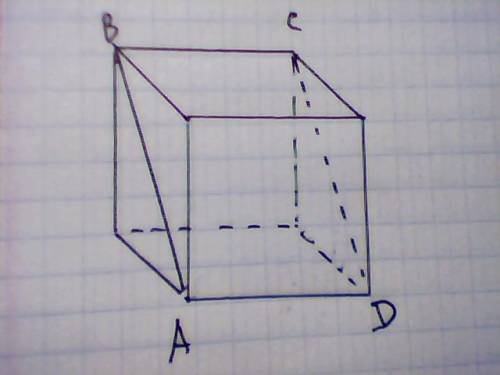 Площадь поверхности куба равна 24см2. найти площадь диагонального сечения куба
