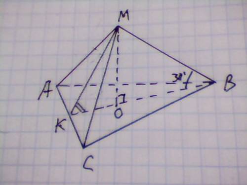Боковое ребро правильной треугольной пирамиды образует с плоскостью основания угол в 30°. найдите та