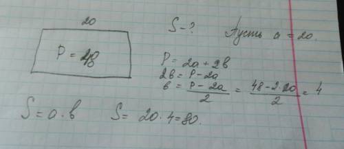 Периметр прямоугольника длиной 20 см составляет 48 см. найди площадь этого прямоугольника. запишите
