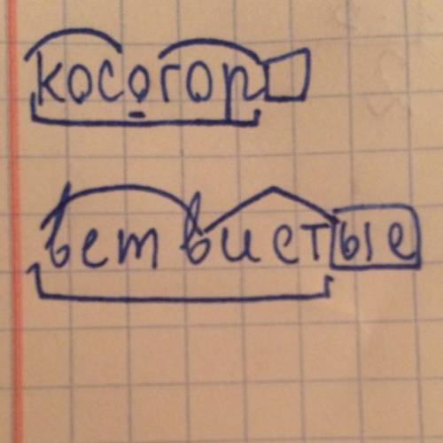 Морфемный разбор слов косогор, ветвистые.