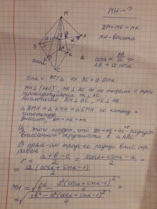 Втрикгольнике авс уголв=90 , ас=а, угол а=альфа точка м равноудалена от всех сторон треугольника авс