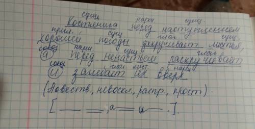 Сделайте синтаксический разбор предложения. костяника перед наступлением хорошей погоды закручивает