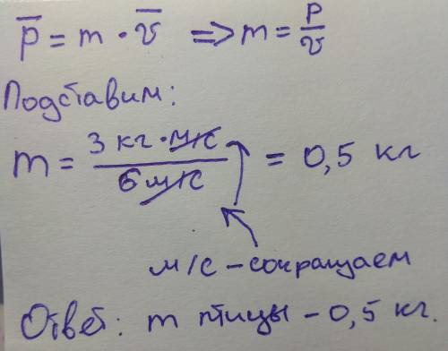 Птица летит со скоростью 6 м/с её импульс равен 3 кг м/с какова масса птицы а) 5 кг б) 2 кг в) 0.5 к