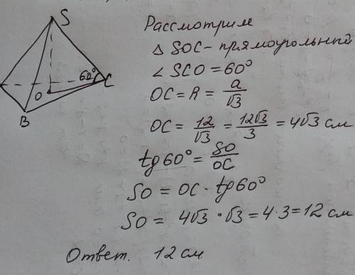 Сторона основи правильної трикутної піраміди дорівнює 12 см а бічне ребро утворює з площиною основи