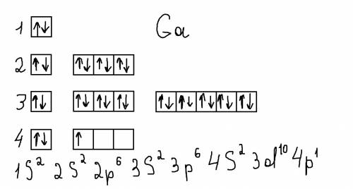 Нарисуйте квантовые ячейки для следующих элементов: галлий, азот, селен