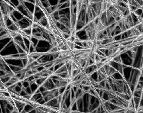 Как выглядят волокна ваты под микроскопом