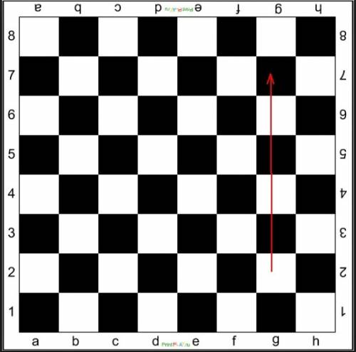 За ответ 34 ! шахматная доска имеет площадь 16дм² . чтобы стать ферзем, пешка должна пройти со своей