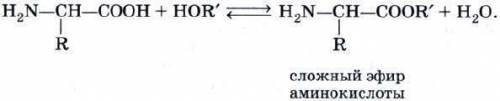 Запишите уравнения реакций этерификации аминокислот и спиртов с использование общих формул.