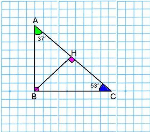 Впрямоугольном треугольнике abc из вершины прямого угла проведена высота bh , угол bac=37 градусов,