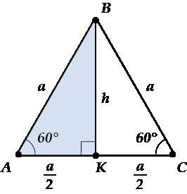 Периметр равностороннего треугольника равен 18 см. вычислите длину его высоты