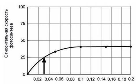 Определить скорость фотосинтеза при концентрации углекислого газа 0.04