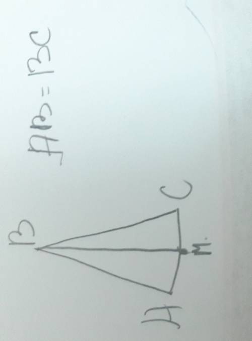 Отрезок вм является биссектрисой равнобедренного треугольника авс (ав=вс)