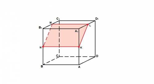 Найдите площадь сечения единичного куба плоскостью, проходящей через середины ребер aa1,bb1,a1d1