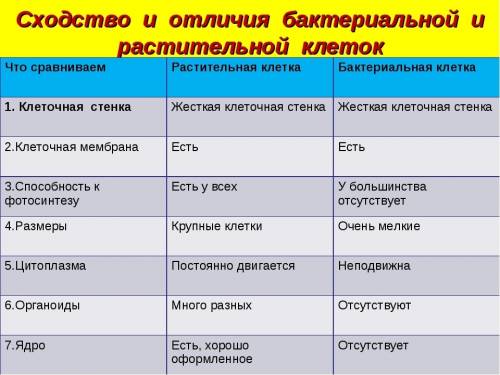 Сравните: строение клеток растений и животных; строение клеток растений и клеток бактерий,гетеротроф