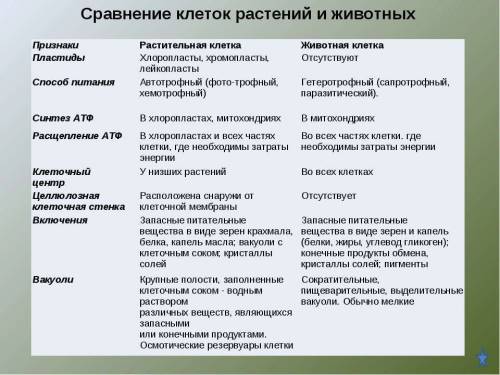 Сравните: строение клеток растений и животных; строение клеток растений и клеток бактерий,гетеротроф