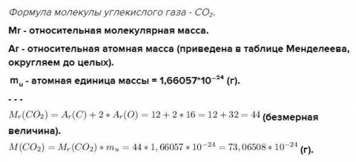 1.7. найдите относительную молекулярную массу и массу одной молекулы углекислого газа