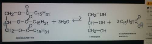 Напишите уравнение реакции гидролиза трипальмитина