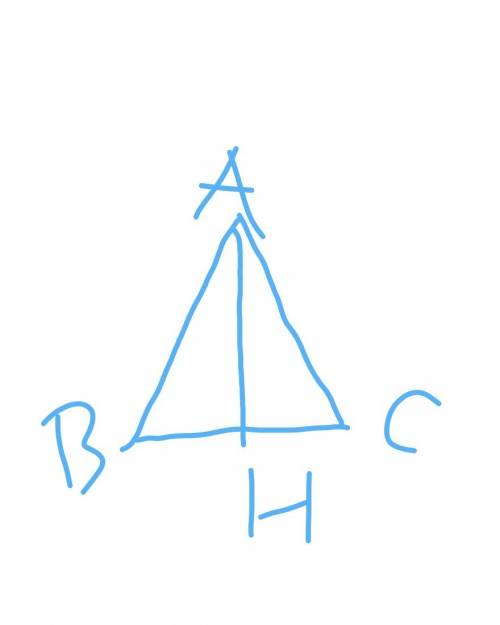 Начертите треугольник авс с основанием ас. с циркуля и линейки проведите высоту ан. рисунок обязател