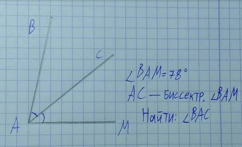 На рисунке ac - биссектриса угла bam равного 78градусов найдите величину угла bac