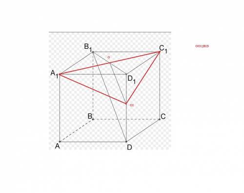 Впараллелепипеде abcda1b1c1d1 постройте сечение проходящее через прямую a1c1 параллельно прямой b1d
