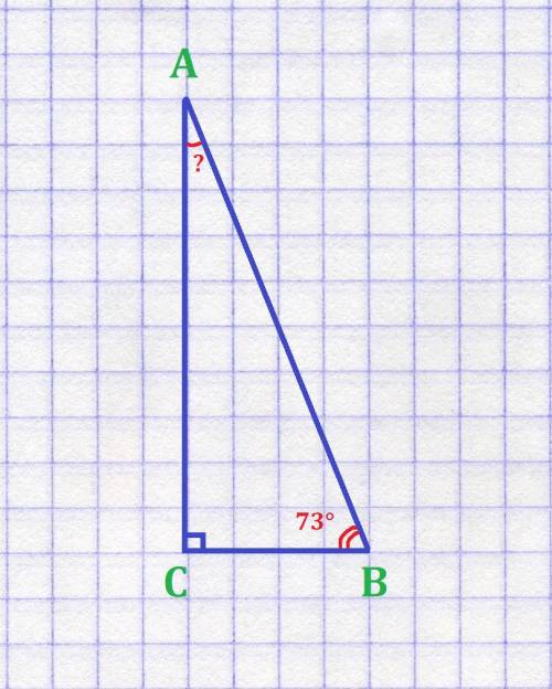 Один из углов прямоугольного треугольника равен 73 градуса. чему равны другие углы ?