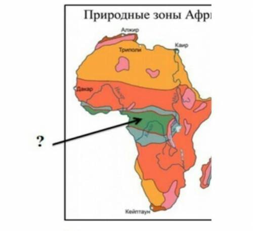 (а) определите природную зону африки по рисунку. (b) объясните один из факторов формирования данной